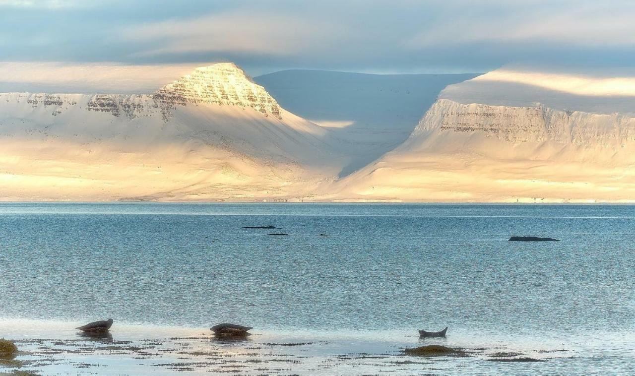 Sudavik Guesthouse Súðavík Esterno foto